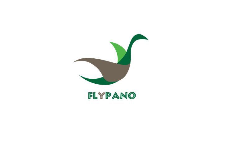 FlyPano Offical Logo