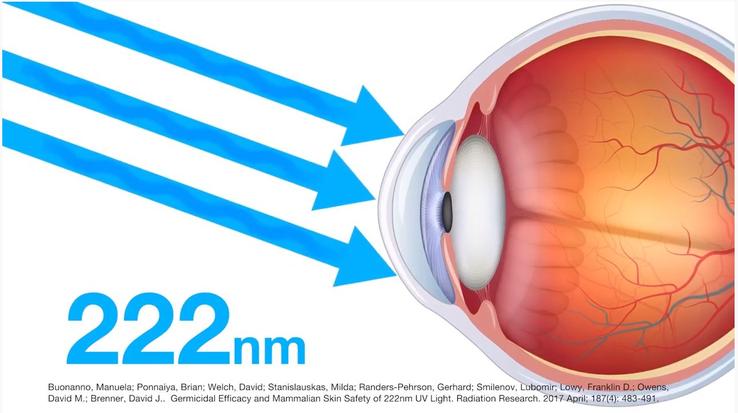 222nm Harmless to Skin or Eyes